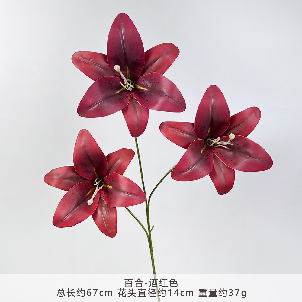 Ym2-lily-wine red