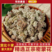 ɻșďVɻʻС\Sɻɻ