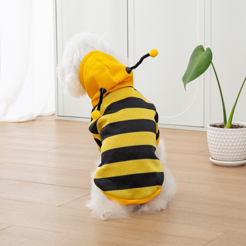 2025 New Autumn and Winter Cat Clothes, Cute Bee Sweatshirts, Four-Season Small Dog Pet Anti-Shedding Clothes 2025 New Autumn and Winter Cat Clothes, Cute Bee Sweatshirts, Four-Season Small Dog Pet Anti-Shedding Clothes