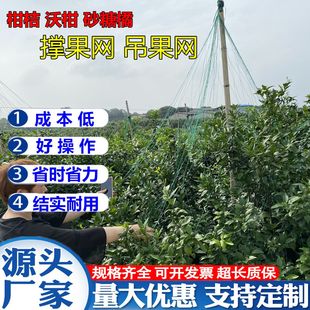 �ָ̓ι��W���ٸ̽�ɳɰ���ٽ۵�����W��������W�Nֲ�ι��W�S��