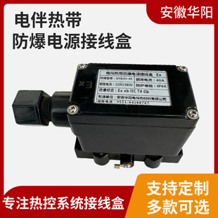 Electric heat tracing belt explosion-proof power junction box GYBJH-40 electric heat tracing accessories three-way junction box 40A220V