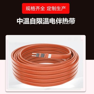 Zxw-Pz/Jz Medium Temperature Self-Limiting Temperature Electrified Tropical Explosion-Proof Protective Pipeline Electrified Tropical System