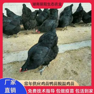 ���l����߮a�G�����u����wɽ�ط��B�ߵ��u���M�ṩ�Bֳ���gָ��