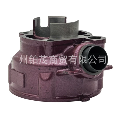 Motorcycle Parts Suitable for Cylinder and parts