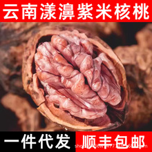 云南漾濞紫米核桃一件代发顺丰包邮老品种尖嘴核桃壳薄肉坚果零食