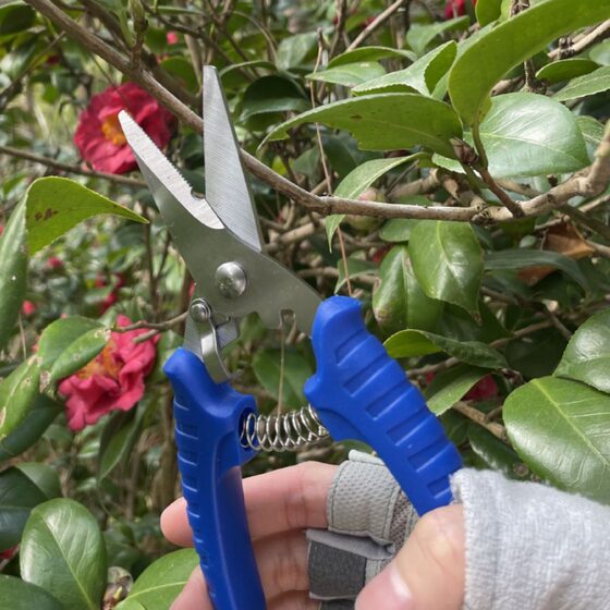 Industrial shears garden shears electrician shears electronic stripping shears wire slot shears multifunctional sharp shears thin iron shears