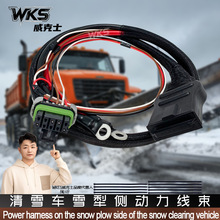 42015��܇��ѩ�C�Ȅ�������4�늳ؾ�����Western SnowExBlizzard