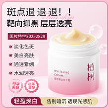 植树美白祛斑霜烟酰胺淡化色斑去黄补水保湿滋润精华霜现货批发