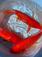 ��t�ݽ��~��ˮ���Ӝ��~���~���m�B�\�a��ˮ�^�p�~���~���B�ͻ��~