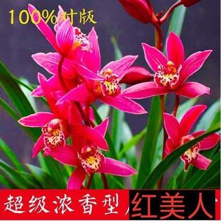�ļ��_�� ���� ���F�� �_���ǳ��� �����_�� �M���h�����w��