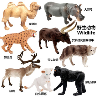 �羳���挍��Ұ������ģ�͔[���Ǆ��X�����Rĸţ�J�����Z¹���