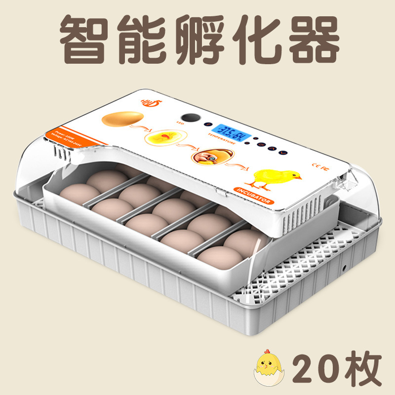 新型国境を越えたアマゾン全自動小型知能電気家庭用鶏鴨ガチョウ恒温孵化器孵化器|undefined