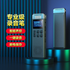 音声起動録音ペン mp3 学生授業会議記録 高画質ノイズリダクション 大容量録音ペン