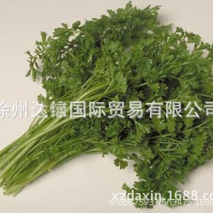 �Lζ���ص�ș-ʳ���ã�ș��)���۲˷N��-���챾�ۣ�ș�ۣ��N��