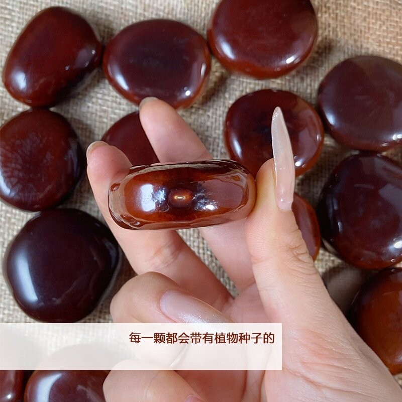 Jelly