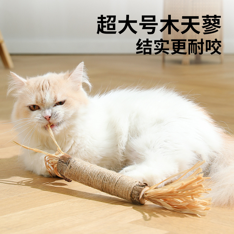 Nuevo gato de juguete Polygonum multiflorum palo con insecto Gall fruta varilla mordedura combinación molar limpieza dental remoción fresco aliento