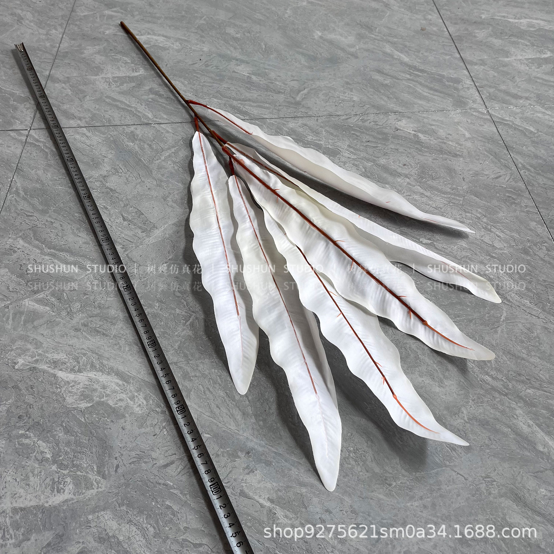 Hoja de nido de pájaro-blanco