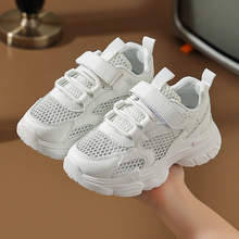 ͯСS2024¿ͯЬŮͯW͸ϵЬpͯaЬ