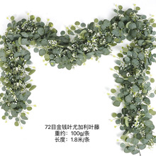 ���R�d����~�ȼ������X�~�ٗl��c�Ҿ��b��~�����l�T����b�