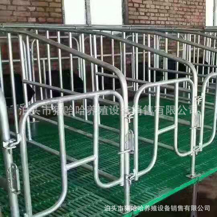 母猪产床 定位栏 限位栏养猪场设备 热镀锌猪舍限位栏-阿里巴巴