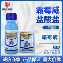 诺普信 金发利 霜霉威盐酸盐菠菜黄瓜霜霉病杀菌剂农药