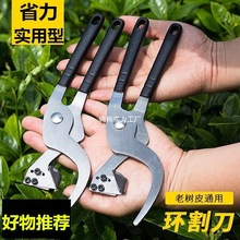 hٗјϘƤƤ_׵hˮ֦h