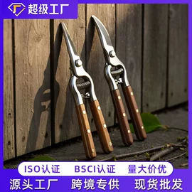 修枝剪;办公剪刀;厨用剪刀