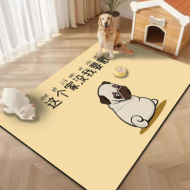 이 집은 내가 원하는 집이 아니야