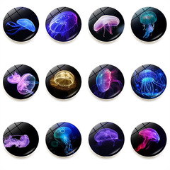 海洋炫彩水母系列冰箱貼時光寶石磁性水晶玻璃白板貼紙裝飾品25mm