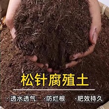 ��ֳ���������ɸ�Ҷ�������������������Ӫ������Ȼ͸������
