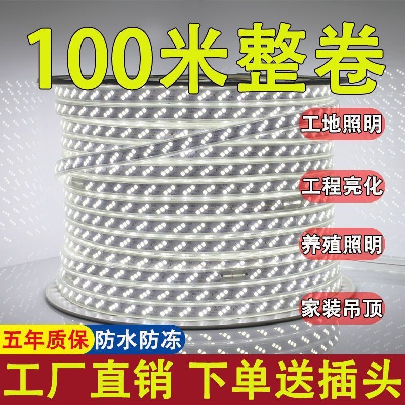 100米套装LED灯带高亮变光家用客厅吊顶户外跑马220V双排灯条