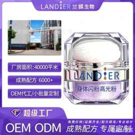 定制OEM亮晶晶的仙女魔尘拍拍粉高光粉身体闪光粉锁骨高光粉加工