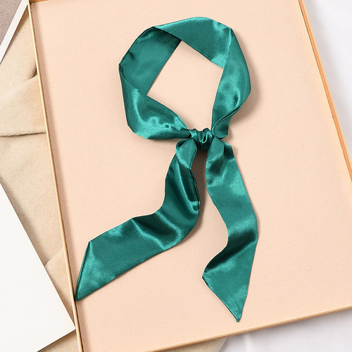Pure Color Silk Scarf Hair Band for Women, Long Strip Small Collar Scarf, Wrapping Band, Handle Silk Ribbon Bag Strap, Scarf
