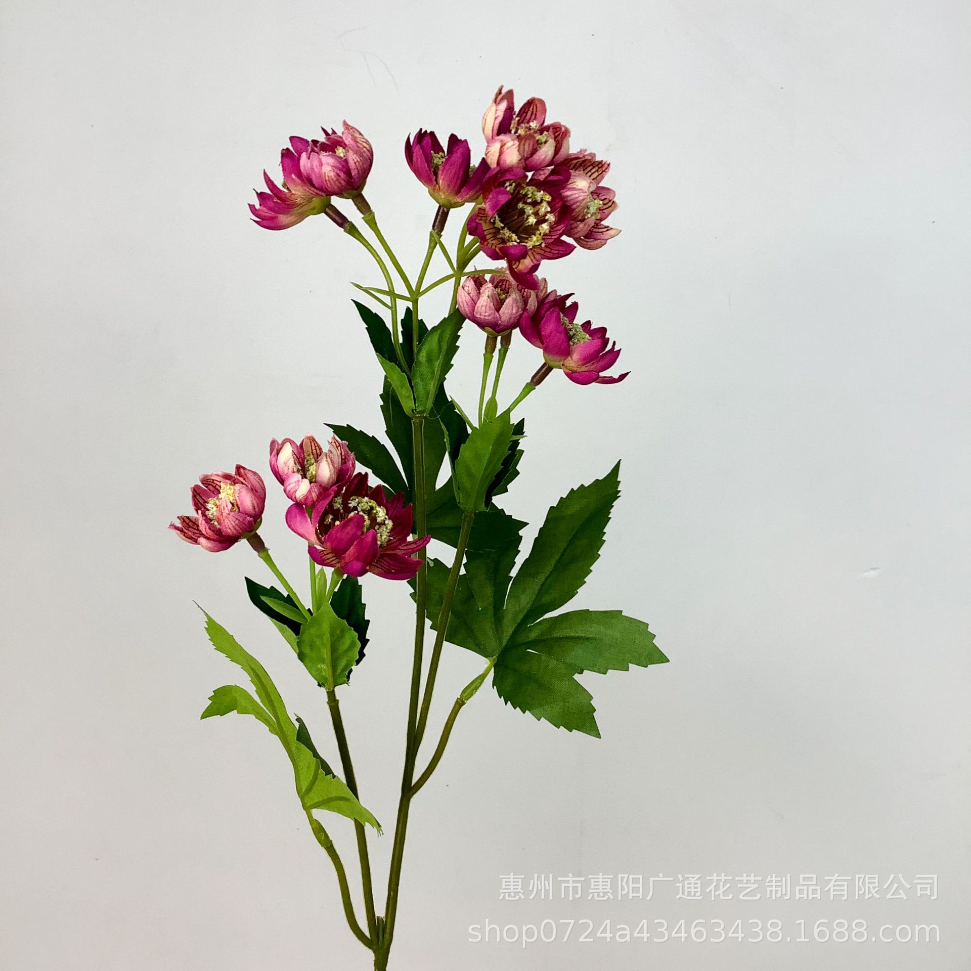 로즈 핑크