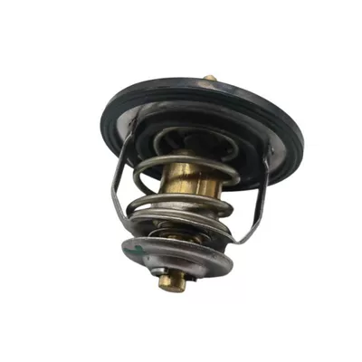 255002E000, Thermostat