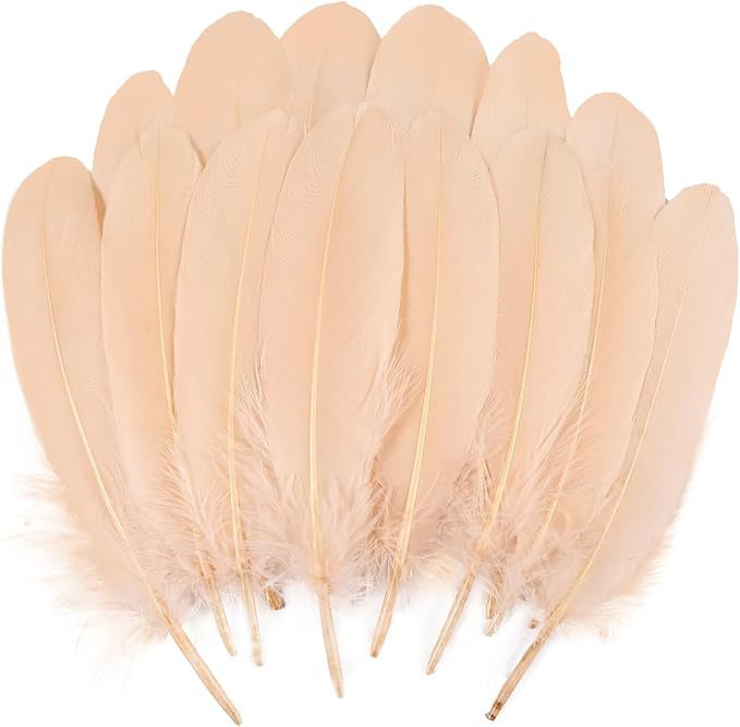 Fabricantes lotes plumas de ganso blanco natural plumas DIY artesanías accesorios de ropa de boda accesorios de decoración artesanal image 10
