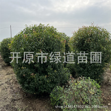 ��@�������l���Ǘ���1-2�ז|����l����G�h���煲�����ľС��