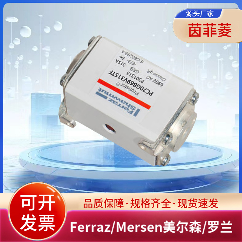 Ferraz/Mersen美尔森/罗兰快速熔断器PC70GB69V315TF P301313
