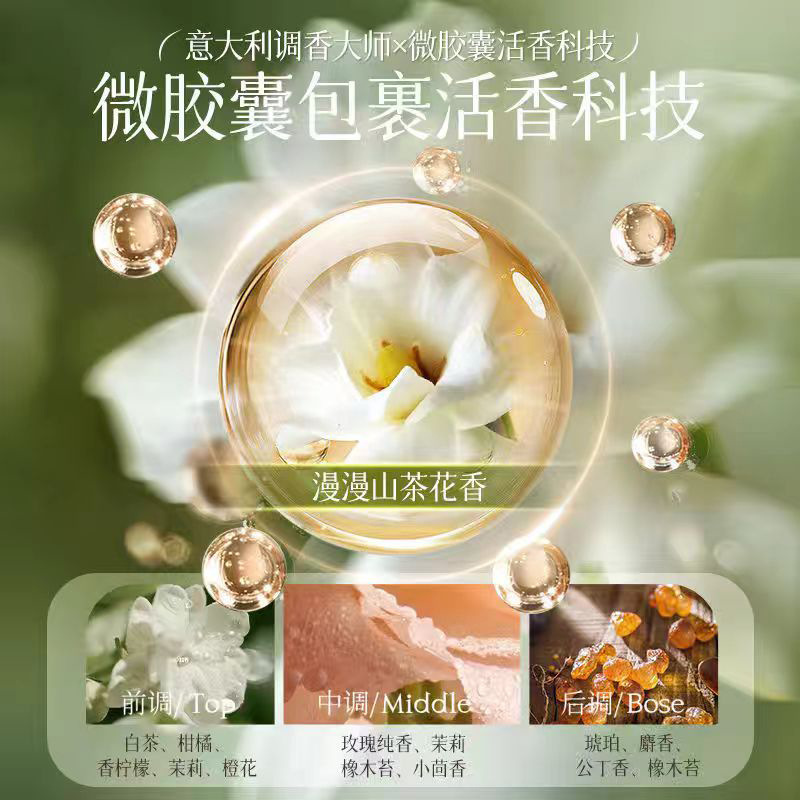 ツバキの花のアミノ酸の入浴剤のシャンプーの白茶の入浴剤は屑のふわふわしているリンスの家庭用の入浴剤のセットを取り除きます。|undefined