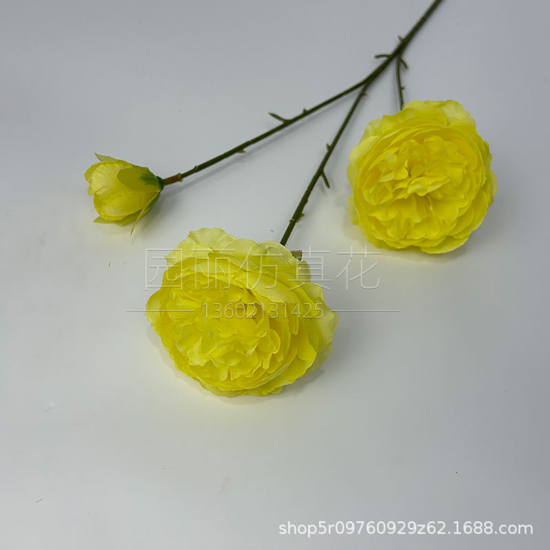 부드러운 노란색