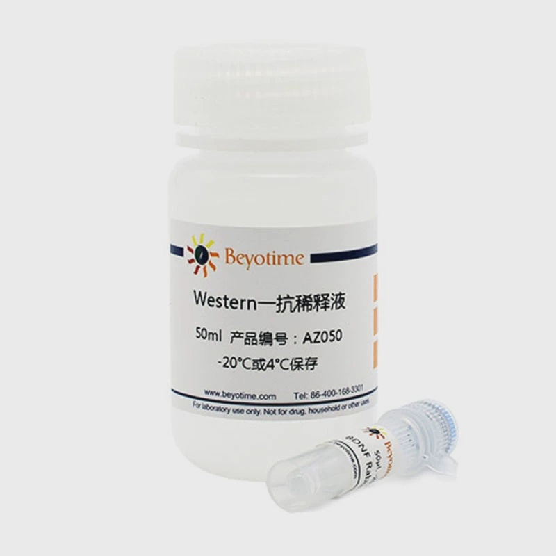 AF6465 CDK4 Rabbit Polyclonal Antibody 50μl голубое небо