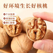 ����Ҳݱ��½��Lζ����ɢ�b��Ƥ�ք��Թ��ɹ���ʳ10�����S�����l