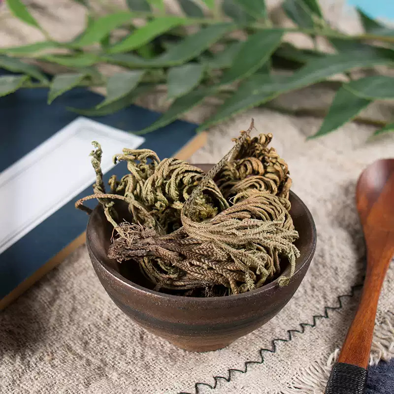 Dried Selaginella Whole Herb Juan Bai Cuan 500g Traditional TCM Botanical quality and texture