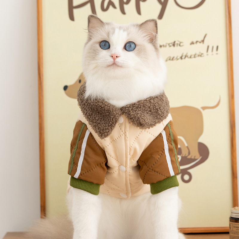 Gato otoño invierno perro grueso calentamiento Maillard bolsillo pegatinas de tracción peluche ropa de algodón de cuatro patas para mascotas