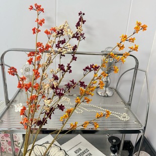 ���������ٸ�֦�仨���m���҃ȼҾ��b�c���滨��������ѩ�ѹ�