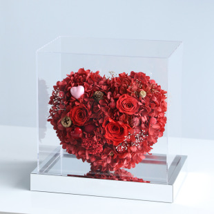 �|֮��������������Ȼ�Ą�diy͸��������չʾ�������R��[���Y��