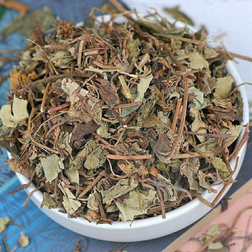 Dried Jin Qian Cao 金钱草 Loose Herb Slices for Traditional Tea and Decoction 500g quality and texture