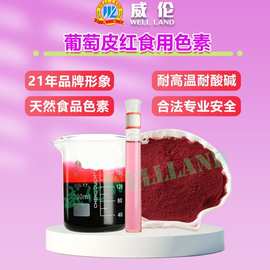 威伦天然色素 食品级着色剂 耐高温上色稳定 水溶油溶 品质保障