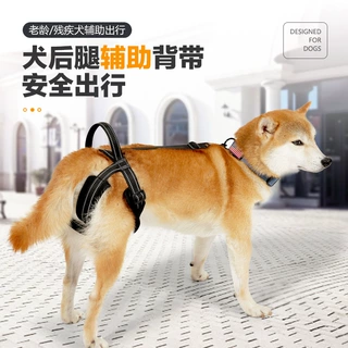 宠物康复训练狗狗后腿辅助带简易穿戴老年犬受伤外出牵引大型犬