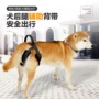 牵引训练辅助简易大型犬
